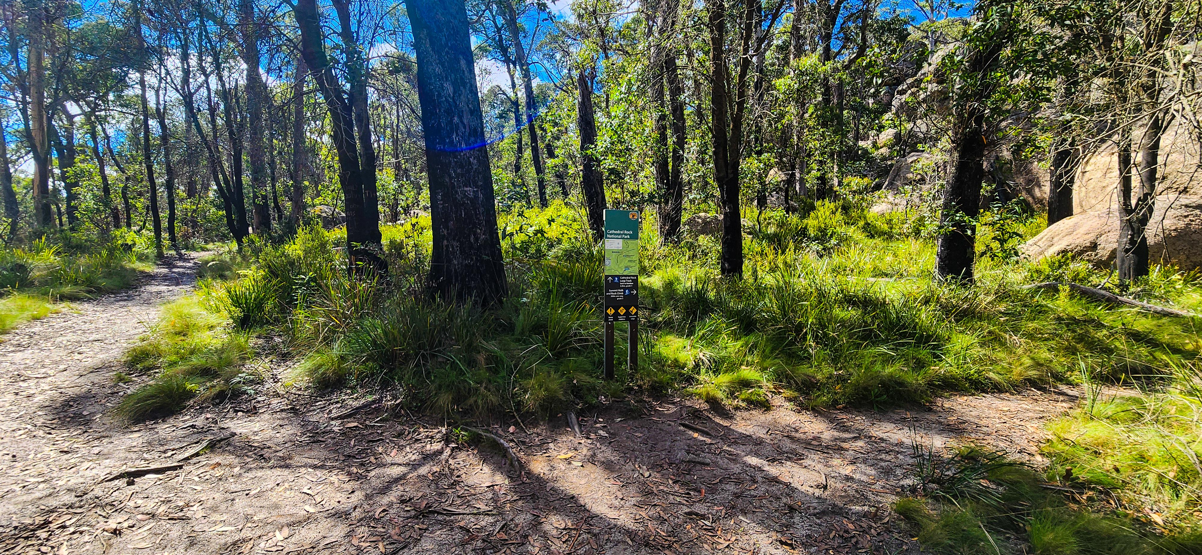Cathedral Rock Lookout Track Junction
